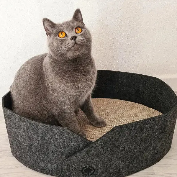 Cuccia per gatti in feltro con fondo tiragraffi in cartone Owen CanadianCat Antracite - Cuccia per gatti