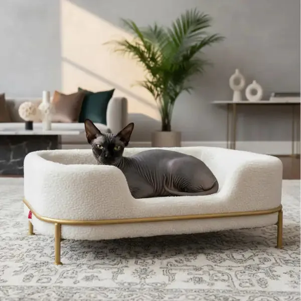 Cuccia per gatti e cani di piccola taglia Luxury CanadianCat Bianco con dettagli dorati - Cuccia per gatti