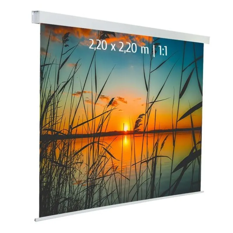 Schermo di proiezione elettrico Kimex 2,20x2,20 m Formato 1:1 Tessuto bianco