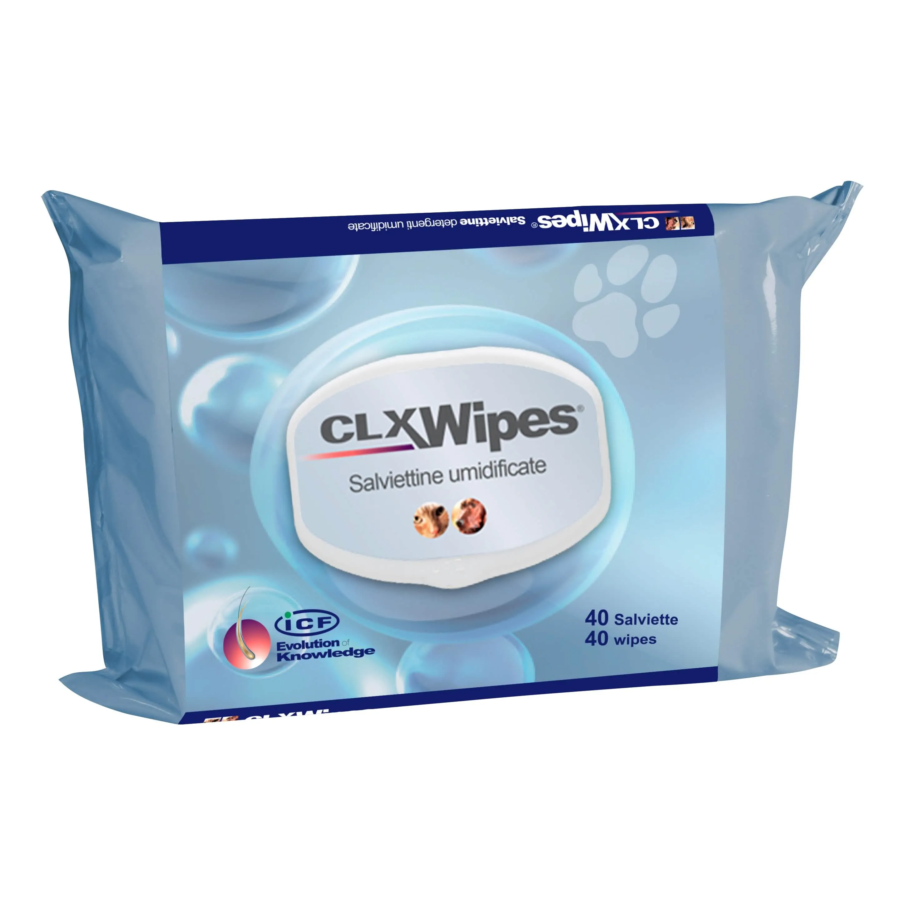 Clx Wipes - 40 Salviette Multiuso