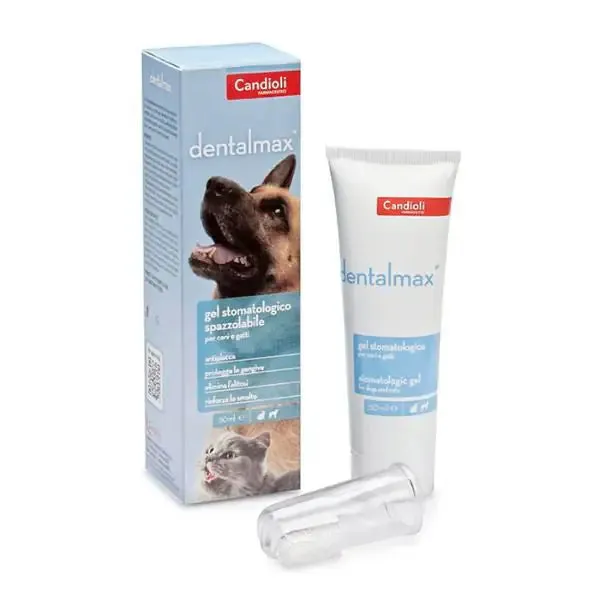 Candioli Pharma DentalMax gel stomatologico 50 ml