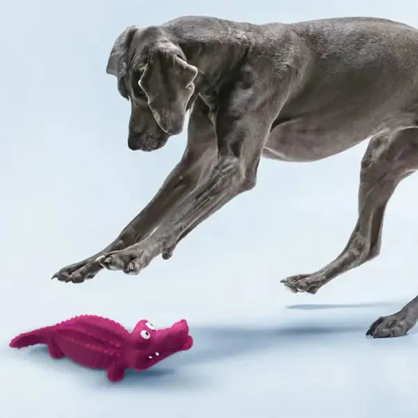 Gioco per cani in gomma naturale di cauciù Panton Croci colori assortiti Coccodrillo colori assortiti - Giochi per cani