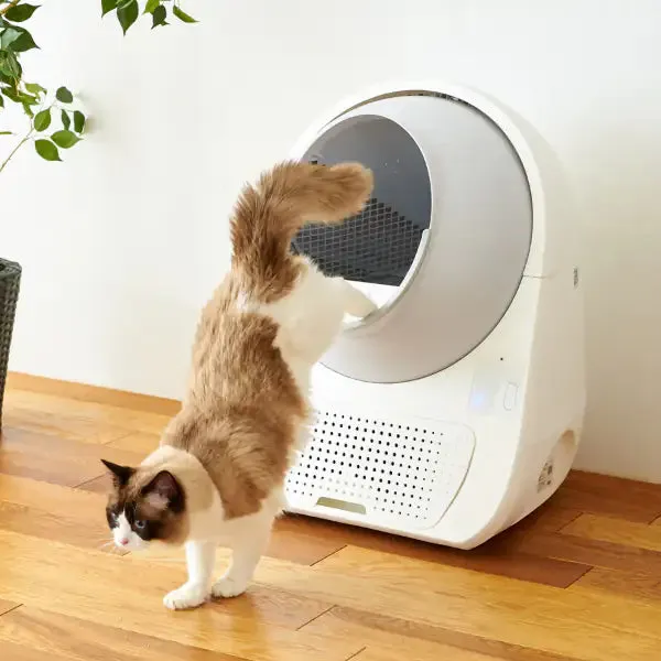 Lettiera autopulente per gatti Scooper no-wifii Young CatLink Misura 60x58x71 cm