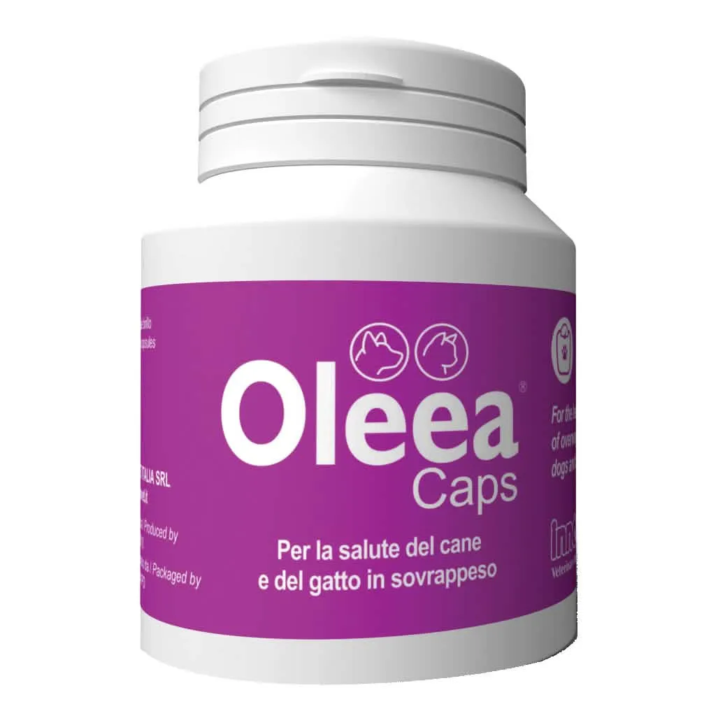 Oleea caps 60 capsule