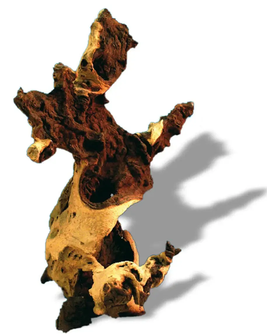 Legno decorativo per acquario Amtra Mopani lunghezza 15-30 cm