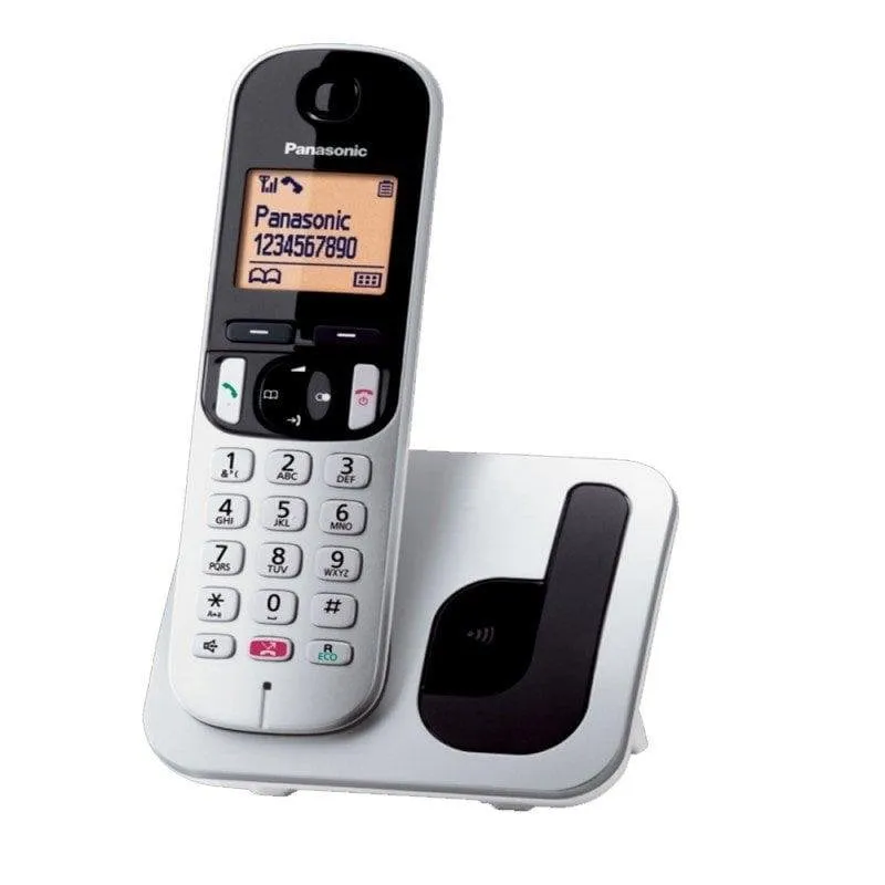 Telefono cordless Panasonic KX-TGC250SPS Argento