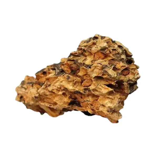 Aquadeco Roccia Naturale decorativa per Acquari e Terrari Dragon stone Small