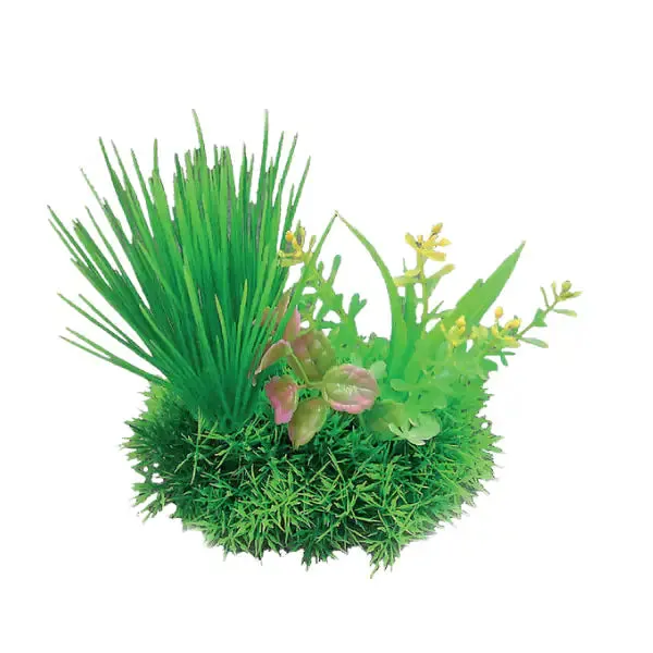 Blu Bios Dekor pianta decorativa per acquari Bouquet mini