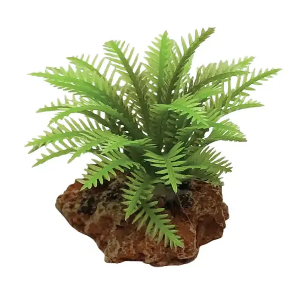 Blu Bios Dekor pianta decorativa per acquari Felce verde