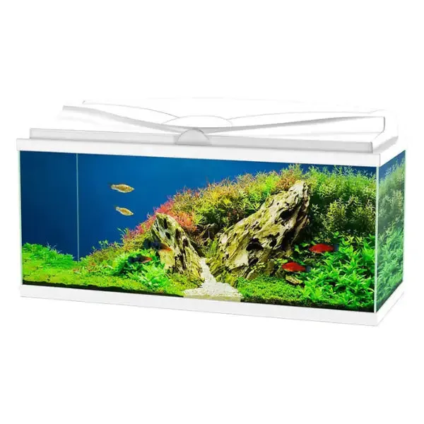 Aquario Aqua 80 Led Askoll portata 70 litri Bianco Misura 80x30x41,5 cm