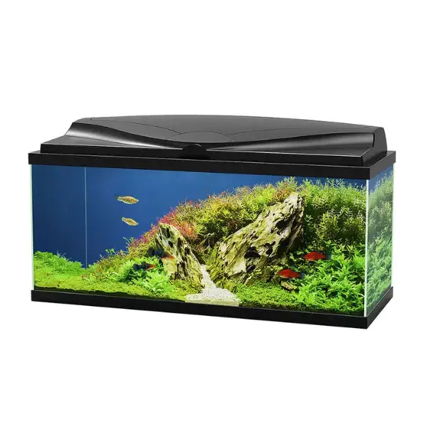 Aquario Aqua 80 Led Askoll portata 70 litri Nero Misura 80x30x41,5 cm