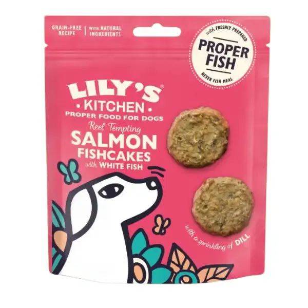 Lily's Kitchen Snack Treats 70 gr Salmon Fishcake (salmone)
