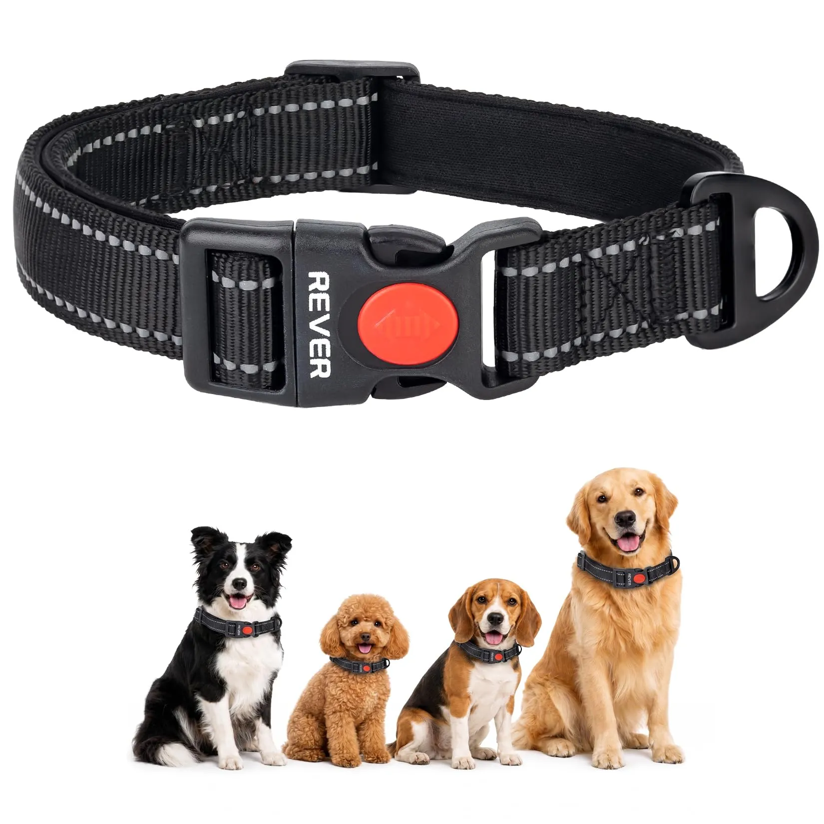 REVER Collare Cane Riflettente, Nylon Resistente, Neoprene Morbido