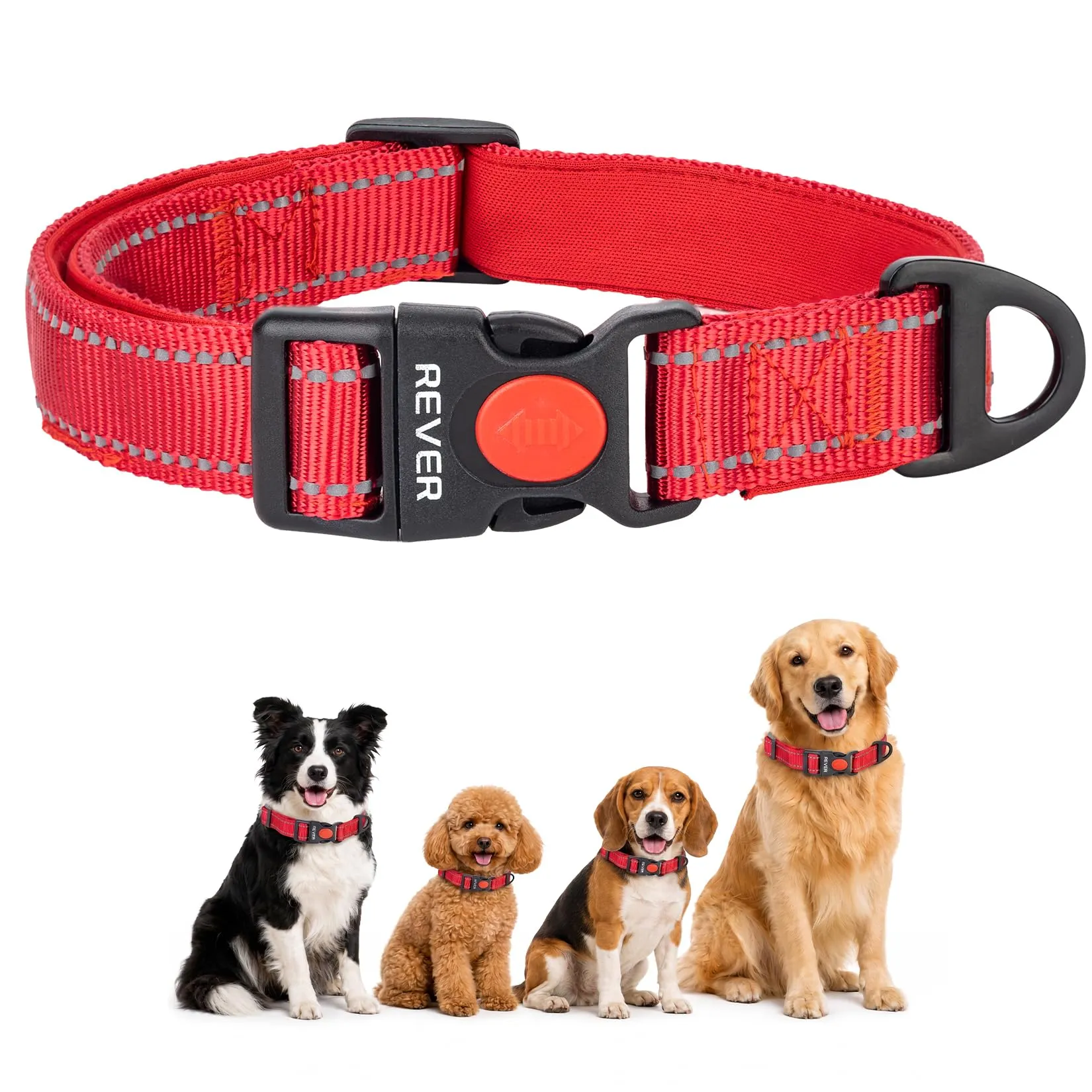 REVER Collare Cane Riflettente, Nylon Resistente, Neoprene Morbido