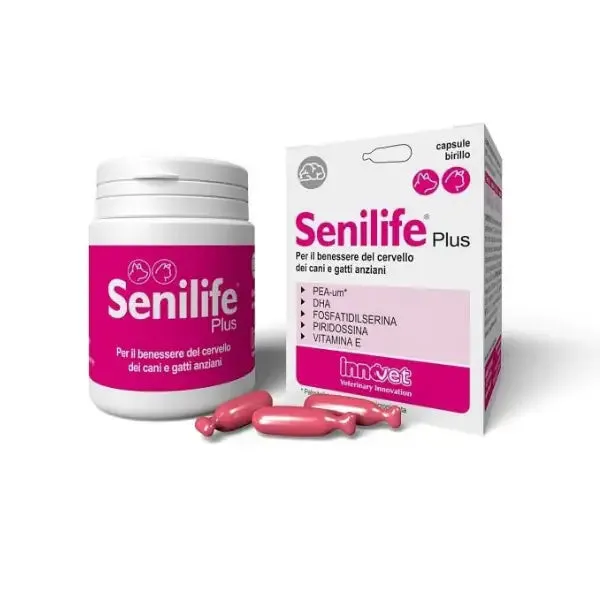 Innovet Senilife Plus supporto celebrale Senior Compresse per cani e gatti 30 Compresse - Integratori per cani