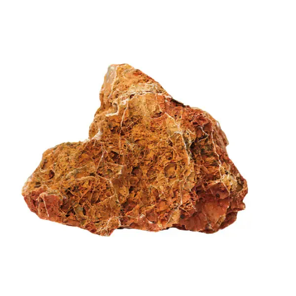 Aquadeco Roccia Naturale decorativa per Acquari e Terrari Maple leaf rock Medium