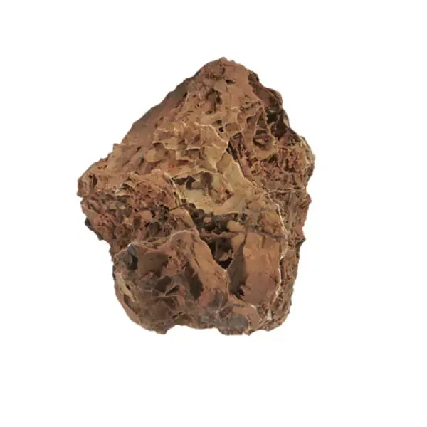 Aquadeco Roccia Naturale decorativa per Acquari e Terrari Maple leaf rock Small