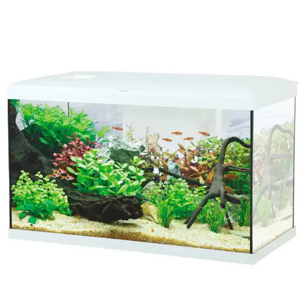 Acquario Ocean modello 60 Aqualovers capacità 57 litri Bianco Misura 60x30x35 cm
