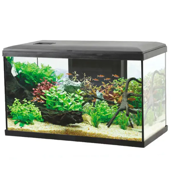 Acquario Ocean modello 60 Aqualovers capacità 57 litri Nero Misura 60x30x35 cm
