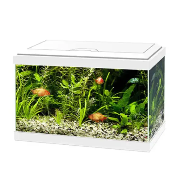 Acquario Ciano Aqua Light 20 Askoll Bianco Misura 40x20x31,3 cm