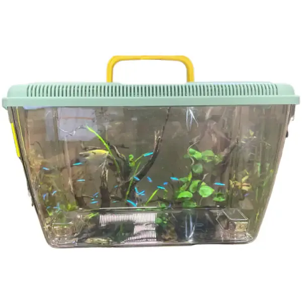 Vaschetta per pesci Ponza PetUp Colori assortiti capacità 9 lt