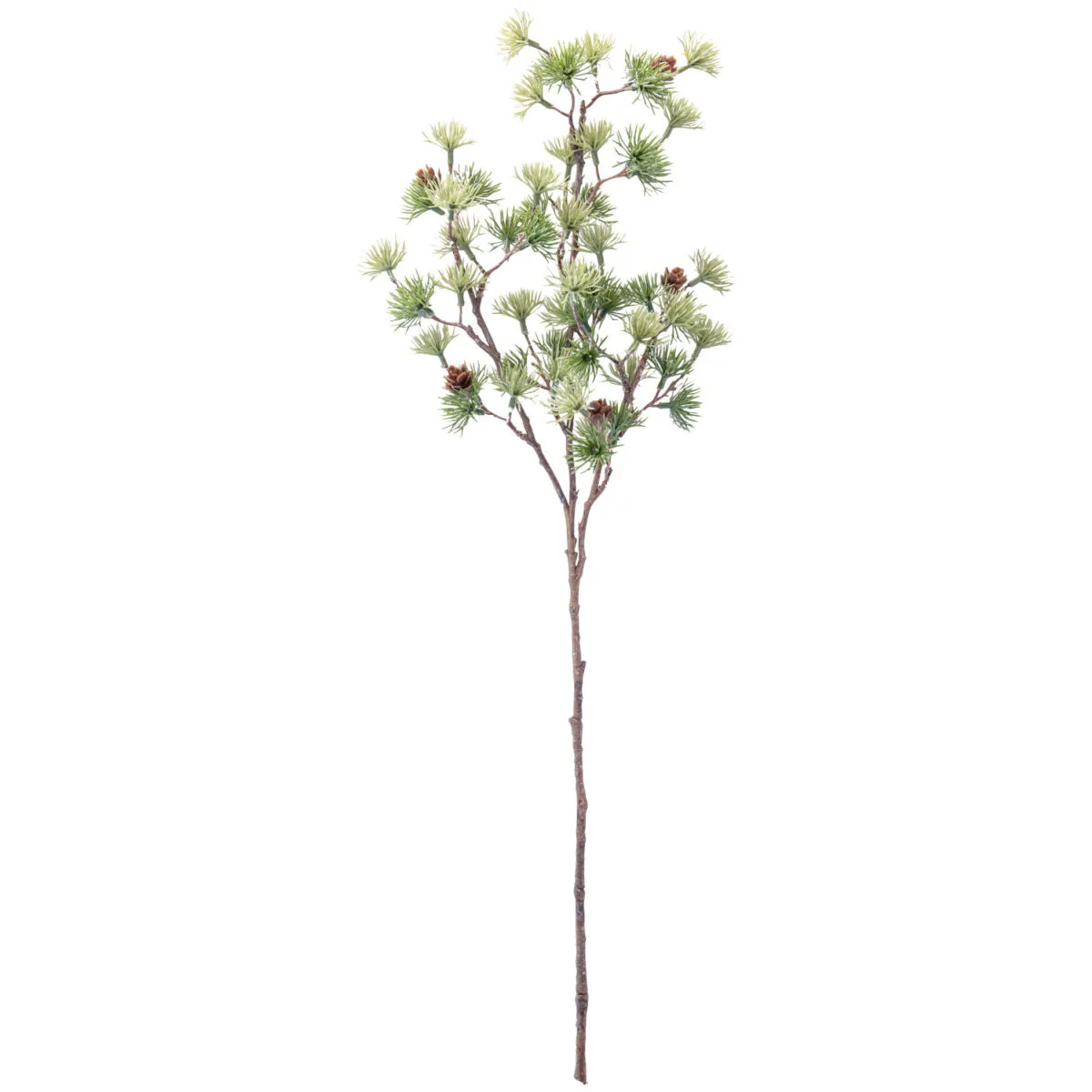 2x Ramo di cedro Kianga; 26.5x0.7x71 cm (LxPxH); verde/marrone; 2 pz. / Pacco
