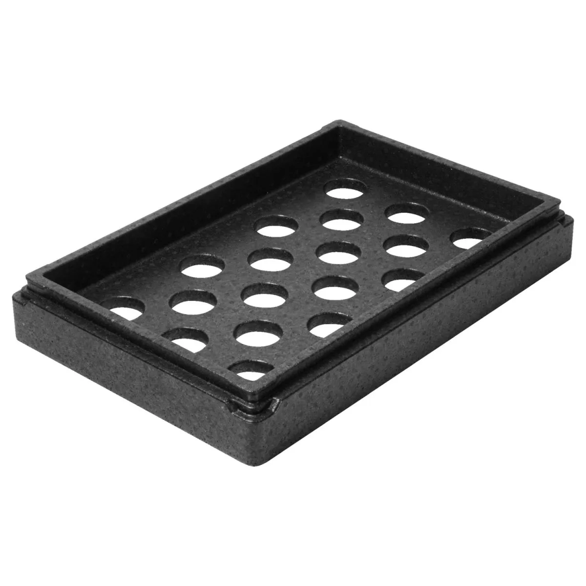 Thermo Future Box Supporto per blocchi refrigeranti per Thermobox Allround; 68.5x48.5x8.5 cm (LxLxH); nero
