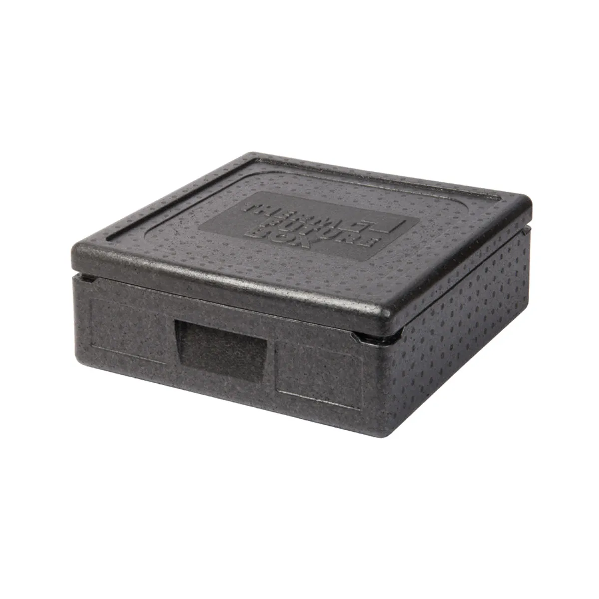 Thermo Future Box CONTENITORE ISOTERMICO PIZZA GRANDE, 35 l; 21000 ml, 48x48x19 cm (LxLxH); nero