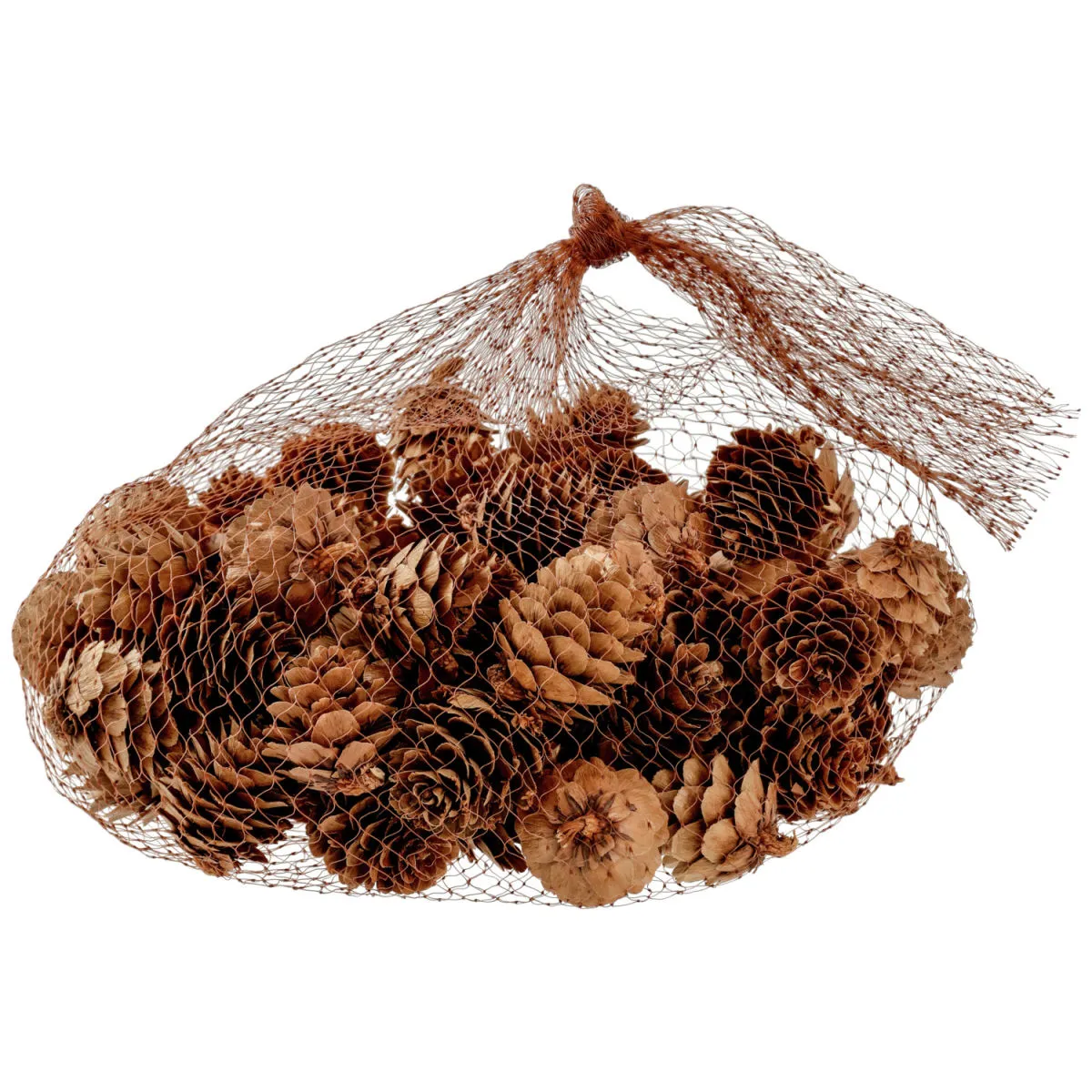 Pigne Brinda; 2 cm (Ø); marrone