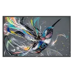 Display professionale 50" 3840x2160 UHD 4K Q LINE Signage Solutions Black 50BDL3511Q 00