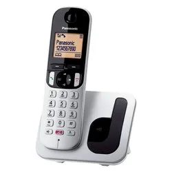 Cordless Singolo Dect (Ricaricabile) Silver e White KX TGC250JTB