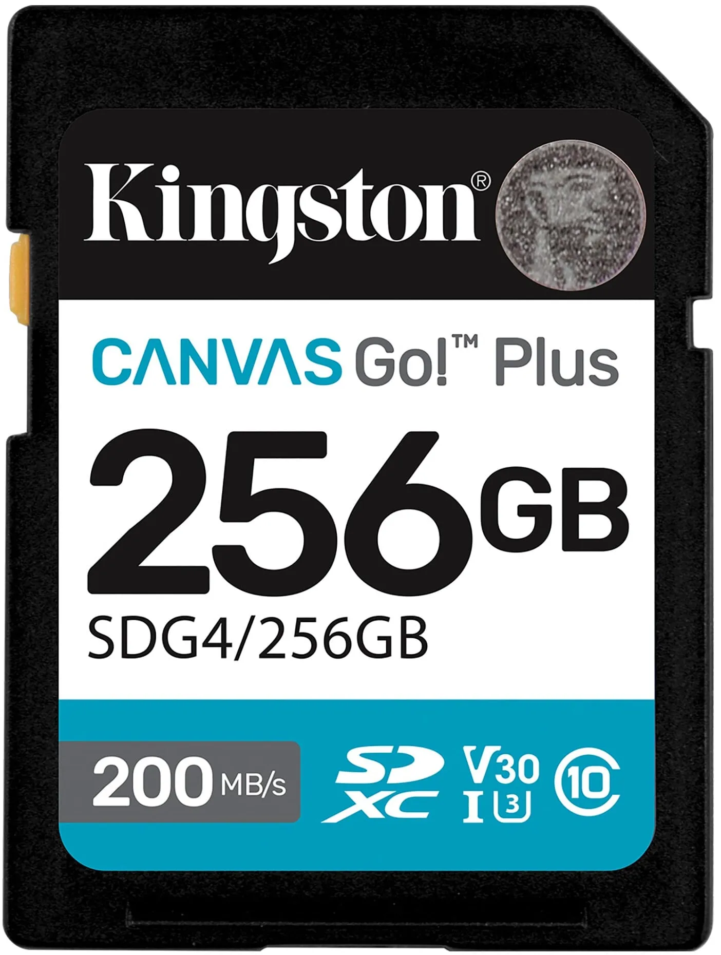 Scheda di memoria SDXC Kingston Canvas Go Plus, 256Gb, Classe 10 / UHS-1 U3 SDG4/256GB