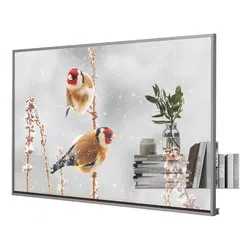 Display professionale 55" 1920x1080 FULL HD Transparent OLED Signage 55EW5P M AEU