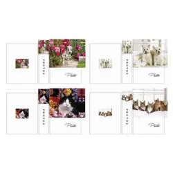 Album fotografico 100Pag CUCCIOLI Assortito 5005511