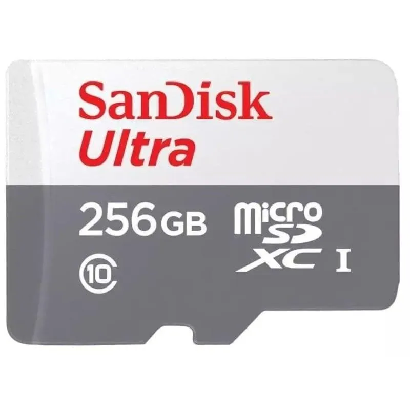 Scheda microSD Sandisk Ultra 256GB UHS-I Classe 10 veloce