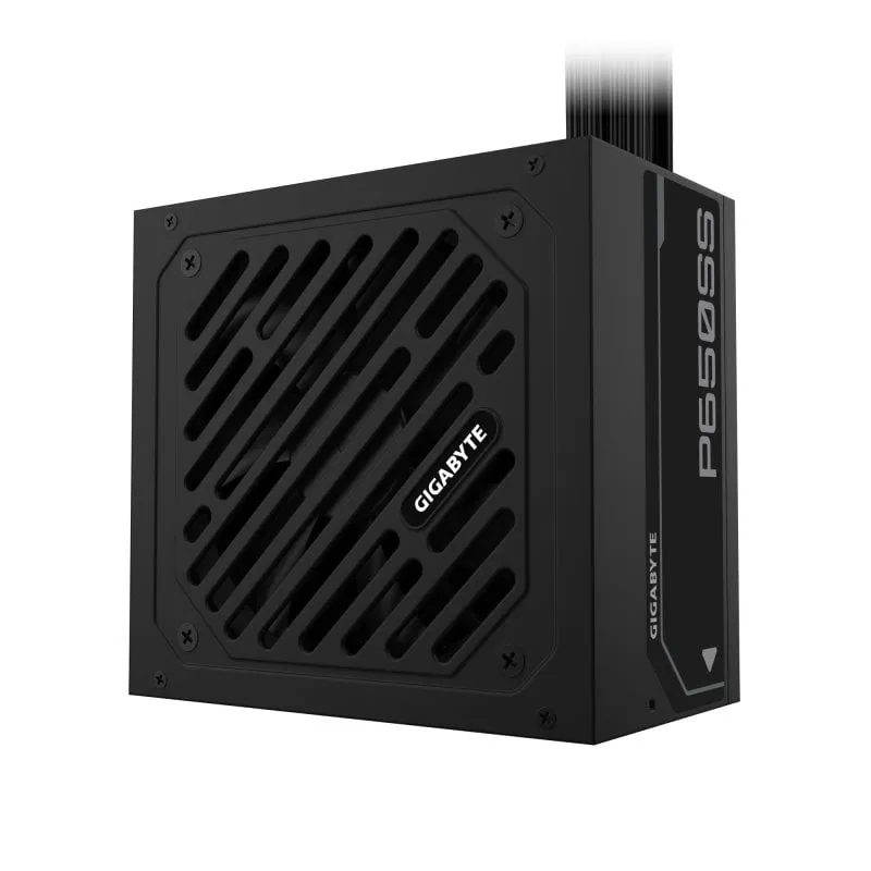 GIGABYTE P650SS alimentatore per computer 550 W 20+4 pin ATX Bianco