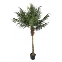 Pianta artificiale Palma con 18 foglie (210cm) 0172725