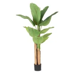 Pianta artificiale Banano c-13foglie (150cm) 0172975