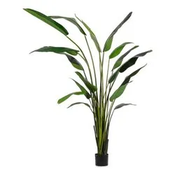 Pianta artificiale Strelitzia c-18foglie (310cm) 0172960
