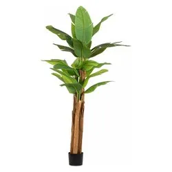 Pianta artificiale Banano c-22foglie (240cm) 0172968