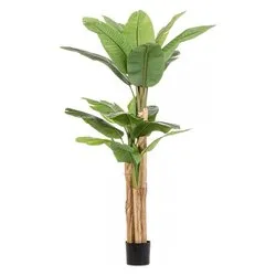 Pianta artificiale Banano c-20foglie (200cm) 0172967