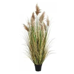 Pianta artificiale Gynerium pampas (150cm) 0173024