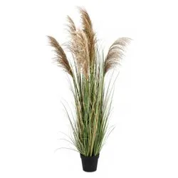 Pianta artificiale Austorderia pampas (170cm) 0173021