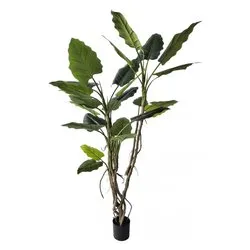 Pianta artificiale Alocasia (190cm) 0173038