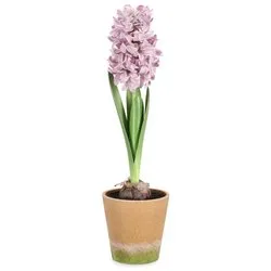 Pianta artificiale Giacinto rosa con vaso (52cm) 0170754