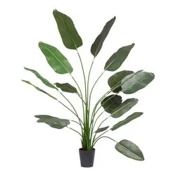 Pianta artificiale Strelitzia con vas 17 foglie (210cm) 0173162