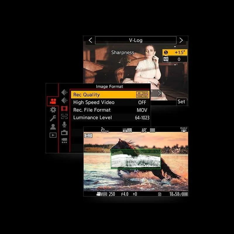 Licenza Software Panasonic DMW-SFU2GU Upgrade per Lumix S1 V-Log 4K 10 bit