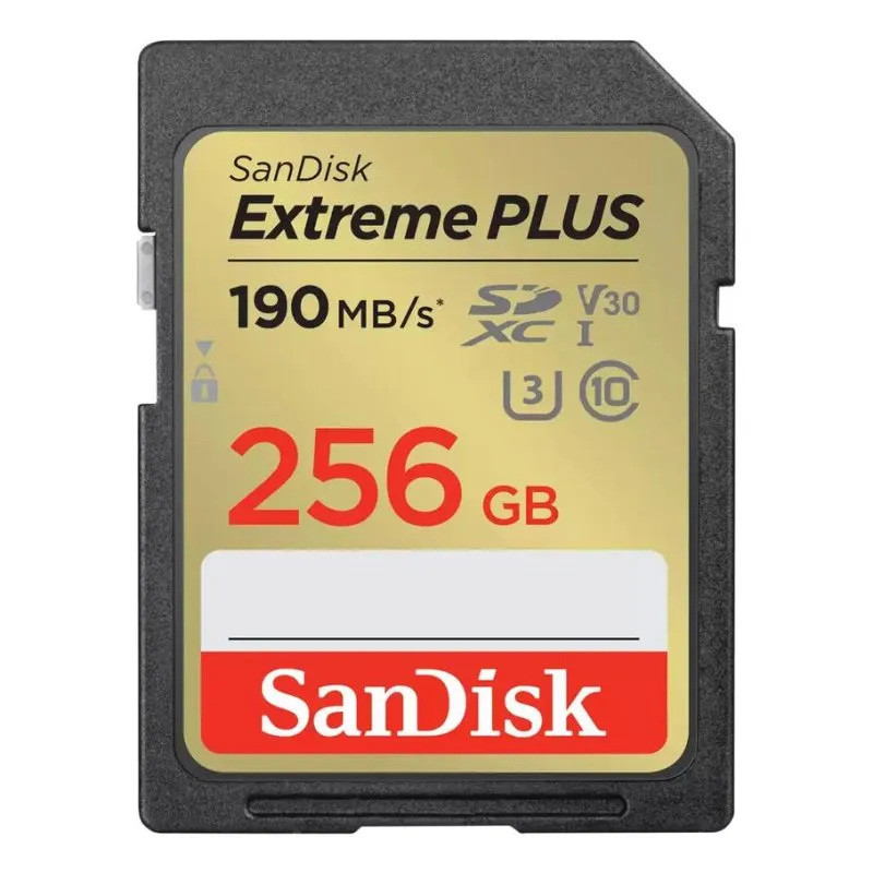 Memoria SD SanDisk SDSDXW2-256G-GNCIN 256 GB Classe 10 UHS-I U3 V30 190 MB/s
