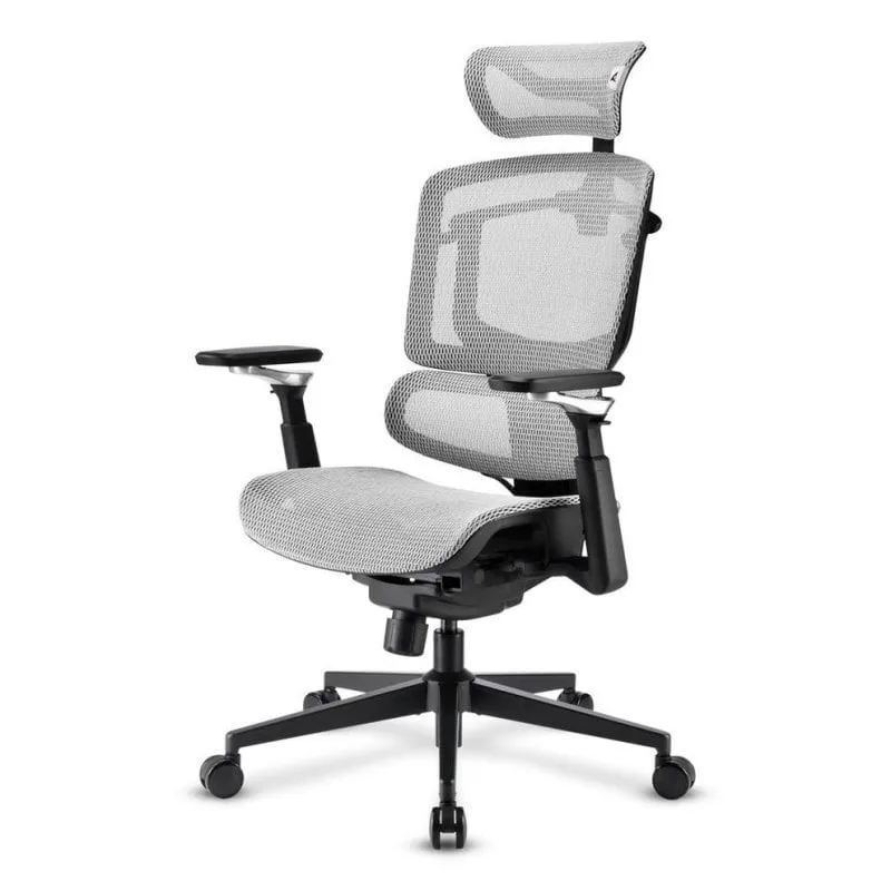 Sedia da ufficio Sharkoon OfficePal C50M Ergonomica Mesh Nera Reclinabile 5D