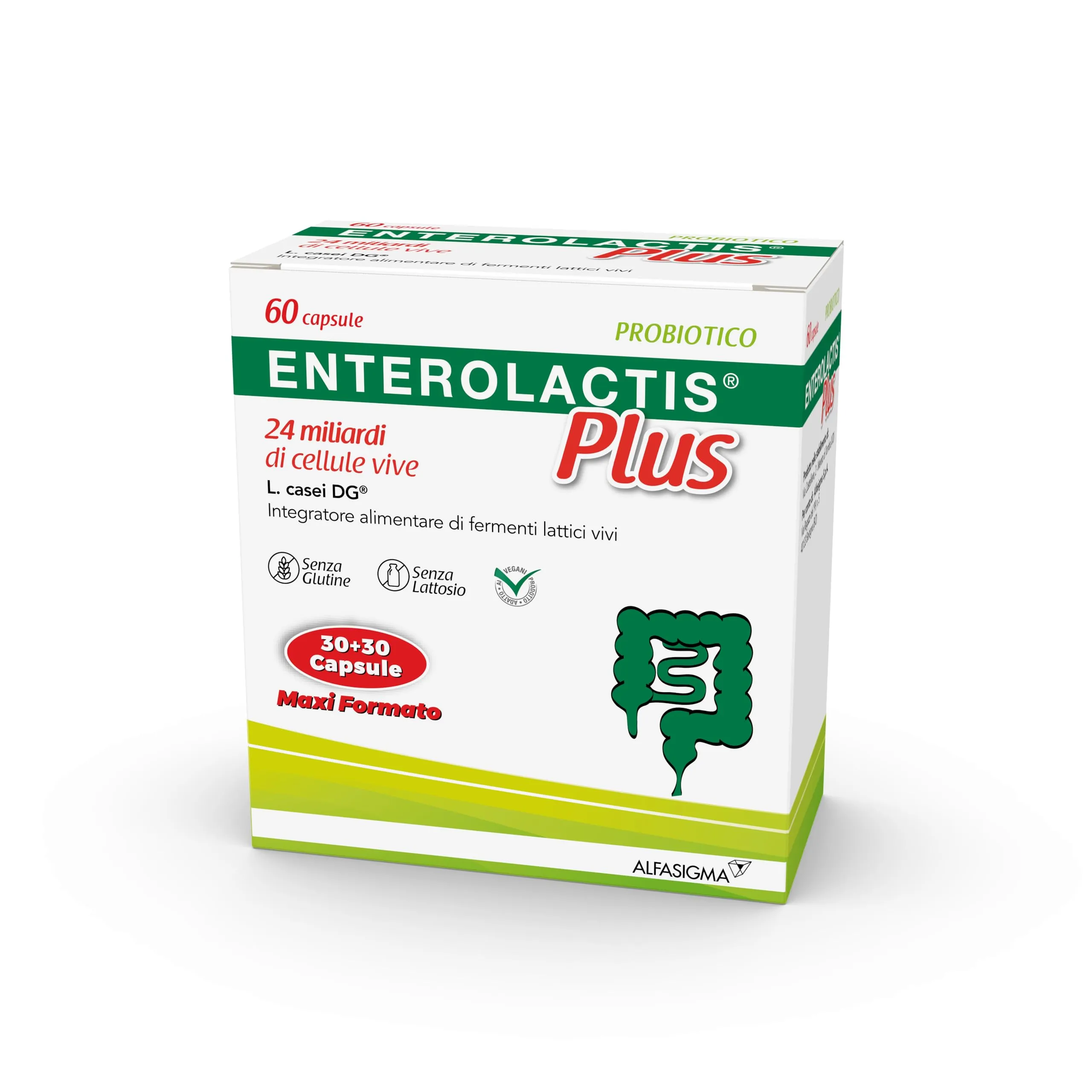 Enterolactis Plus, confezione da 60 capsule: fermenti lattici, probiotici, supporto per equilibrare la flora intestinale alterata